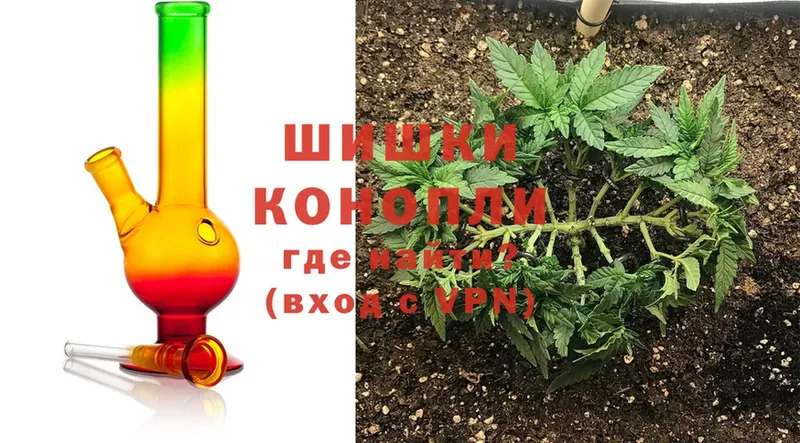 Бошки марихуана THC 21%  дарнет шоп  Павлово 